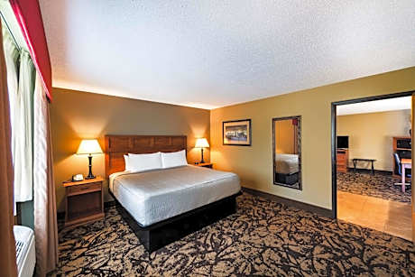 One-Bedroom King Suite with Sofa Bed - Non-Smoking