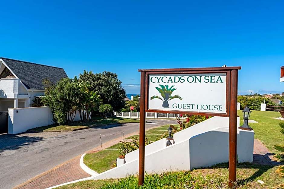 Cycads on Sea Guest House