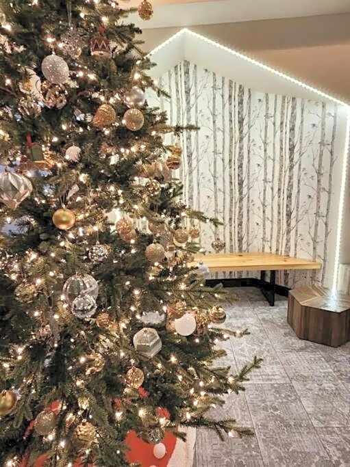 W463 Canmore 2BD 2BT, AC, MT view, Central Location