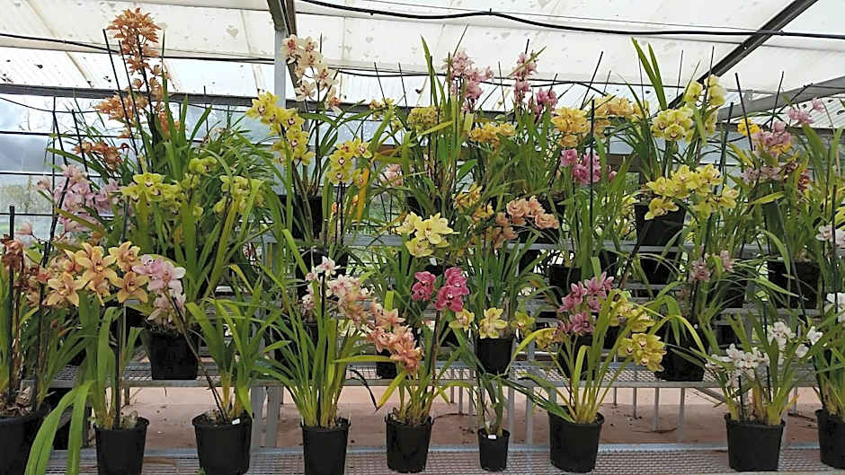 Ararat Southern Cross Motor Inn