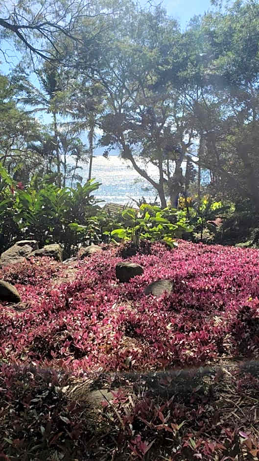 O Sitio - Ilha Grande