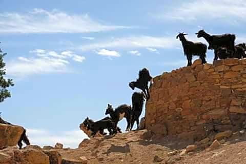Maison d hôtes Tioute Chez Abdelmajid