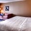 Hampton Inn By Hilton & Suites Wixom-Novi-Detroit MI