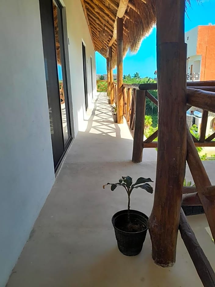 kin Studios Holbox