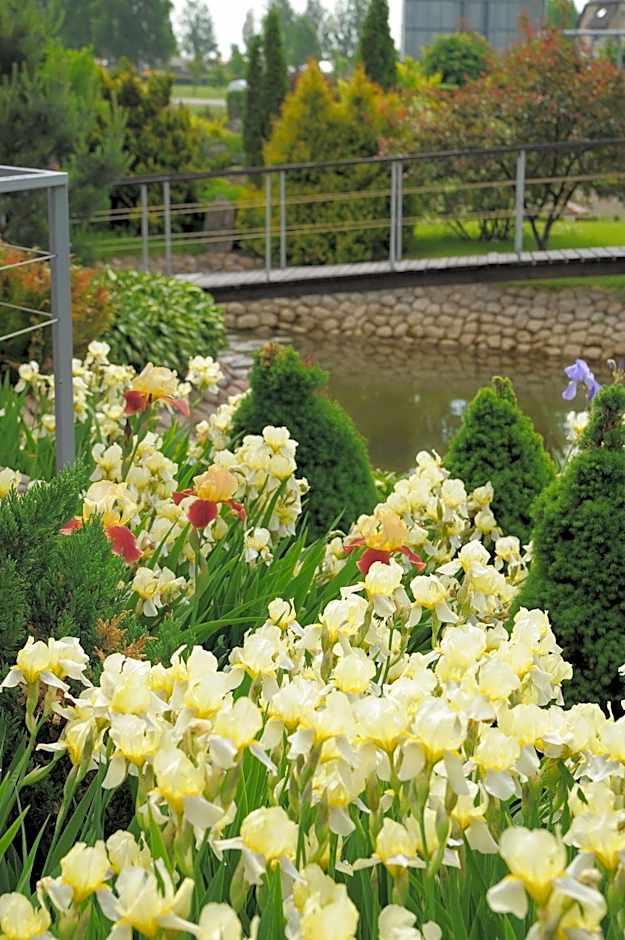 Motelis Smagratis Kretinga