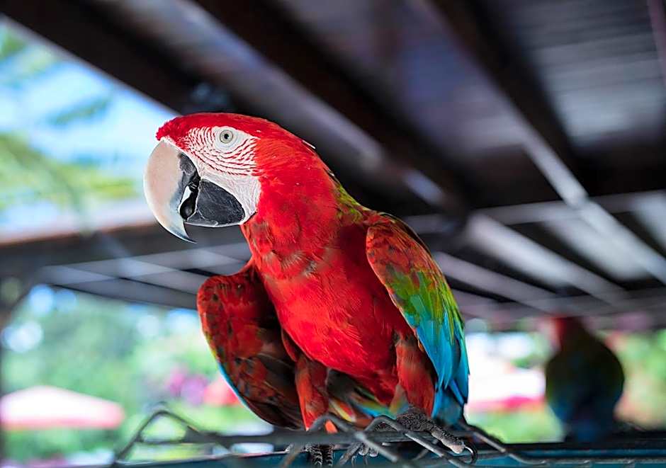 Hotel Karia Princess