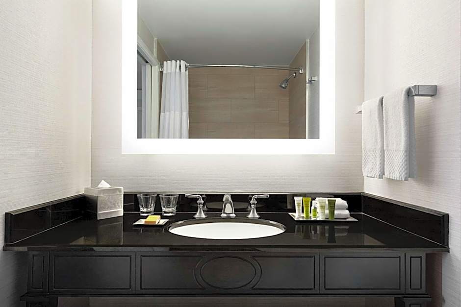 Hilton New Orleans/St. Charles Ave. French Quarter Area