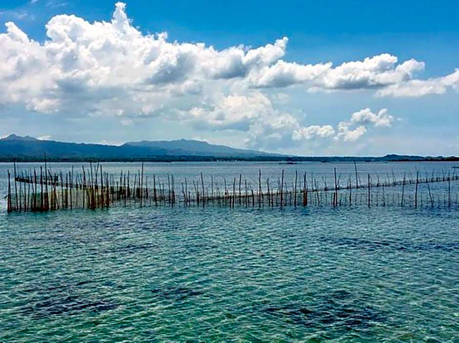 RedDoorz at Shandy's Transient House Palompon