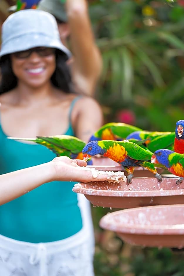 Tasman Holiday Parks - Airlie Beach
