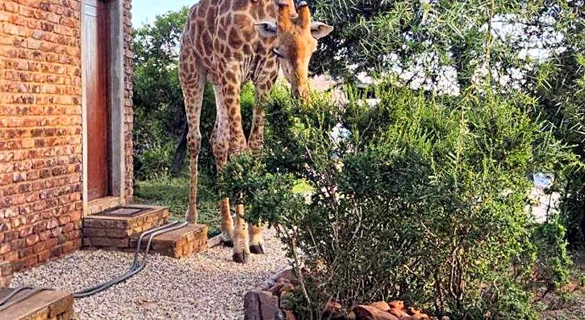 Valley Bushveld Country Lodge