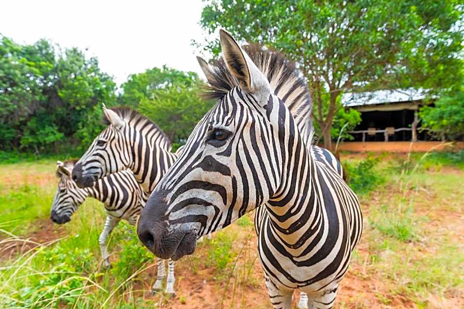Leopard Walk Lodge