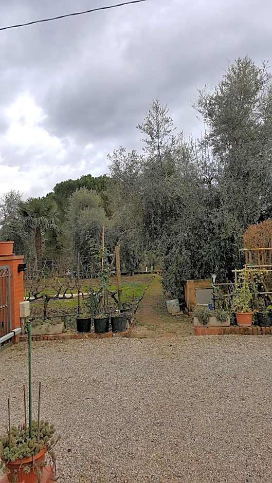 Orto degli Ulivi