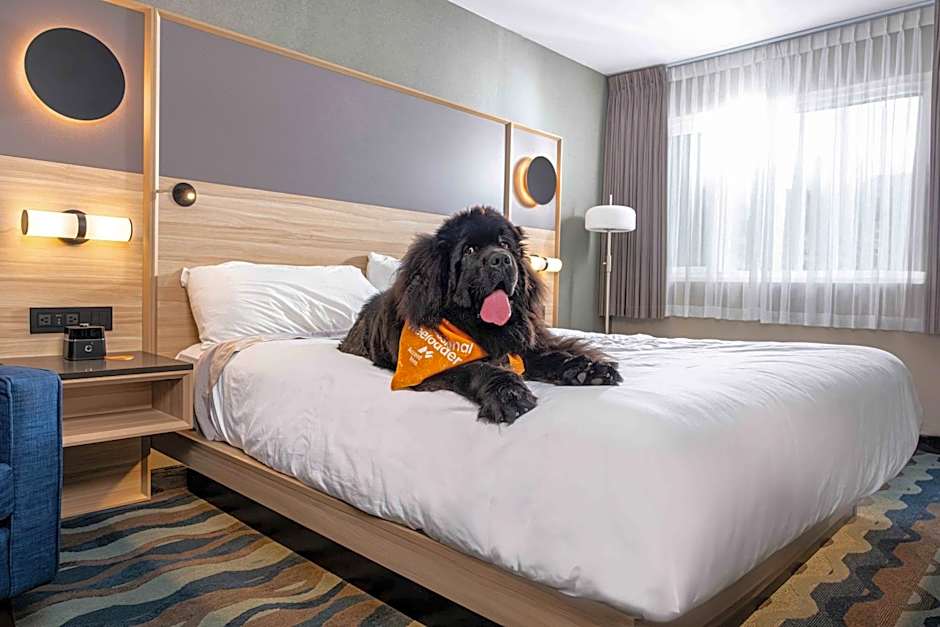 Accent Inns Kelowna