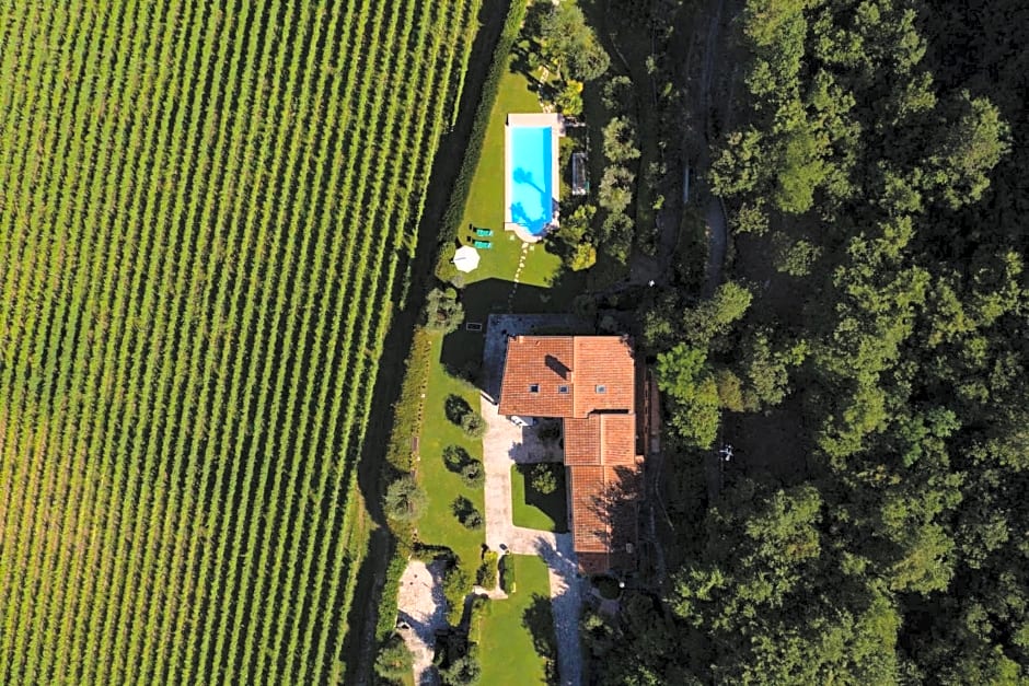 Villa Vitis