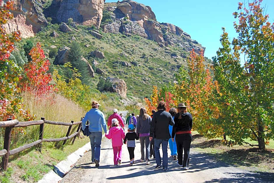 Wyndford Holiday Farm