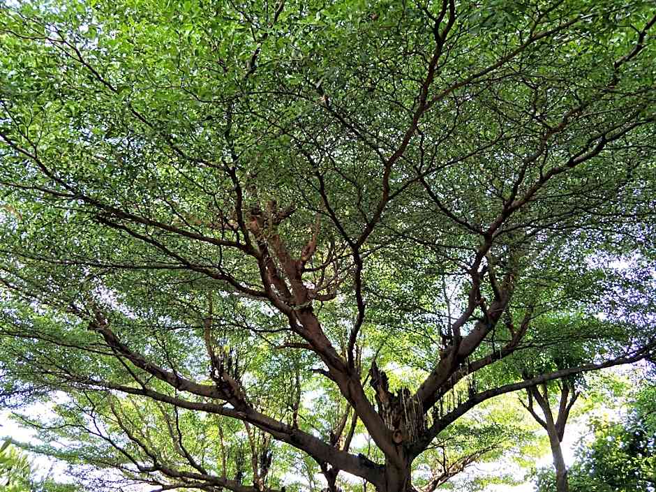 Sandy Serviced Apartment