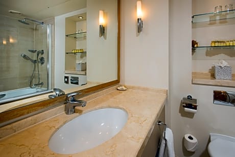 Plaza Executive Triple Rooms in London