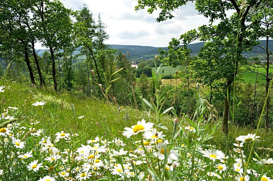 Wohlfühlhotel DER JÄGERHOF