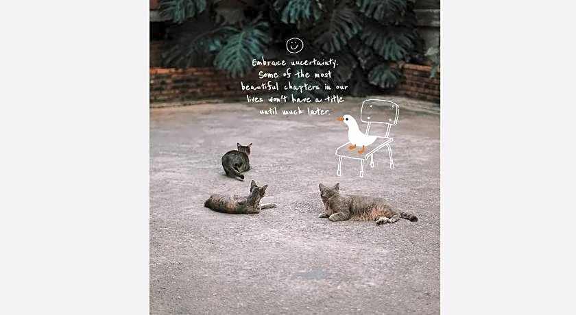 Sleepy House Chiang Rai