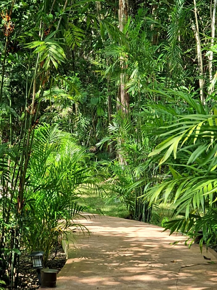 Secret Gardens Bacalar Suite 02 con alberca y bicicletas