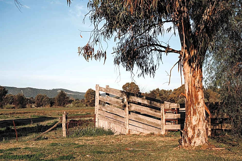 The Cudgee at Mudgee