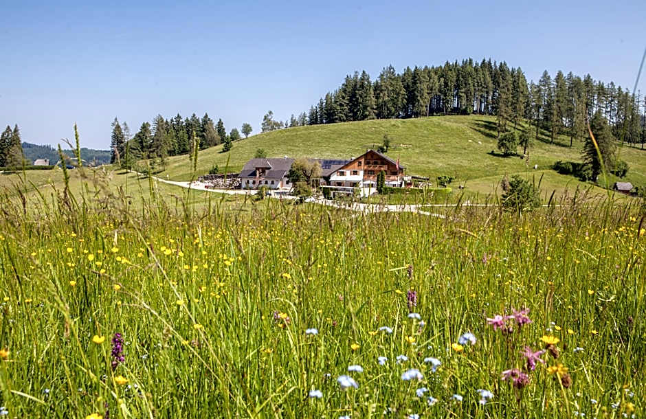 Frühstückspension Windlegern