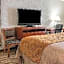 Comfort Inn & Suites University South