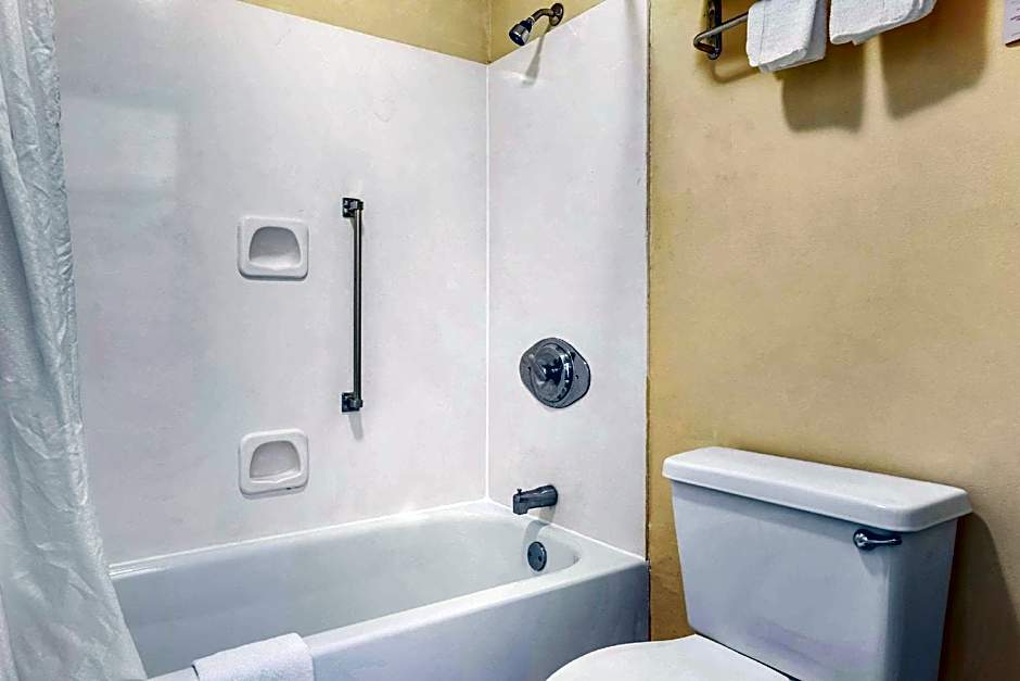 Econo Lodge Inn & Suites Forest