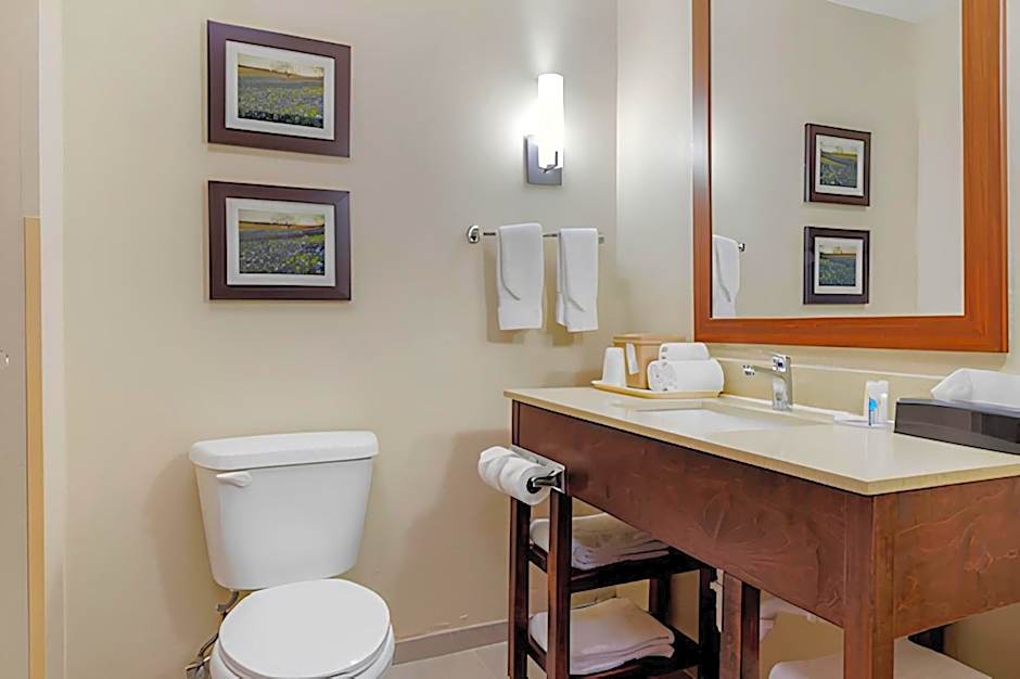 Comfort Suites Benbrook