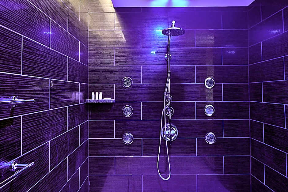 Renaissance by Marriott Dallas at Plano Legacy West Hotel