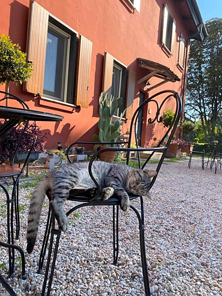 Tenuta Agricola Fonte Di Papa