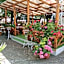 Hotel Olymp