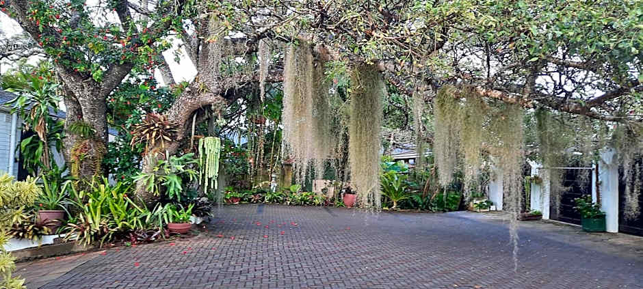 St. Lucia Wetlands Guest House