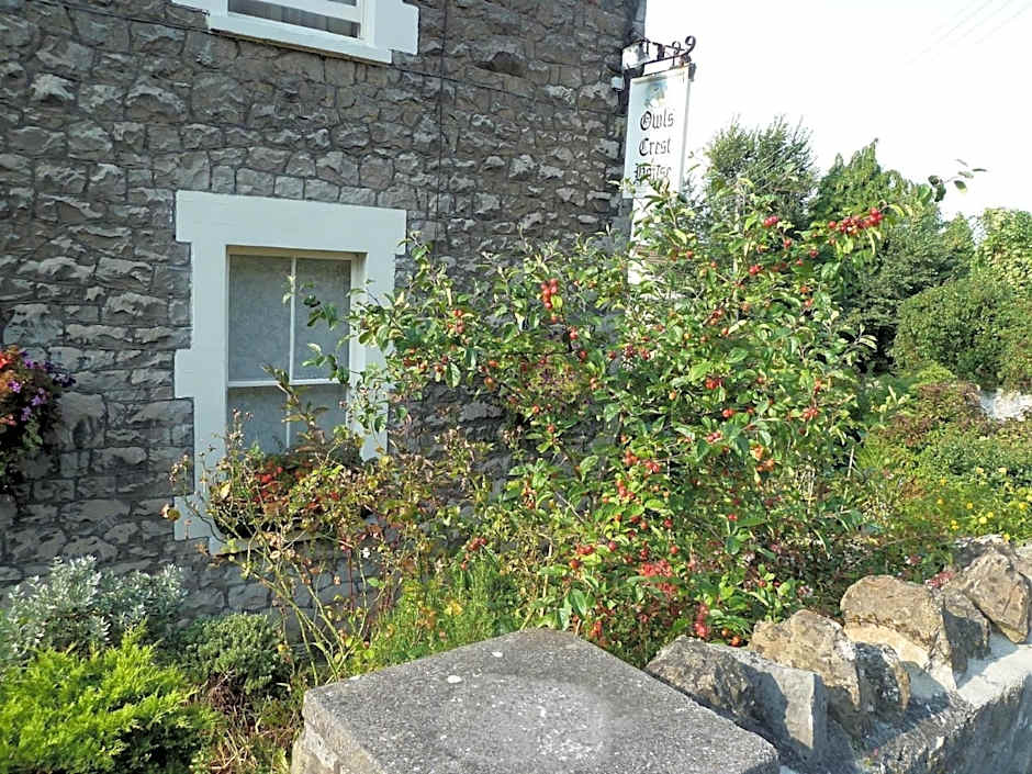 The Owls Crest House B&B