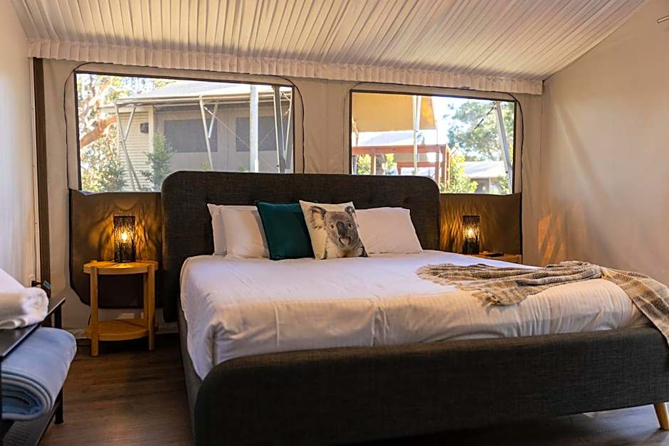 Port Stephens Koala Sanctuary