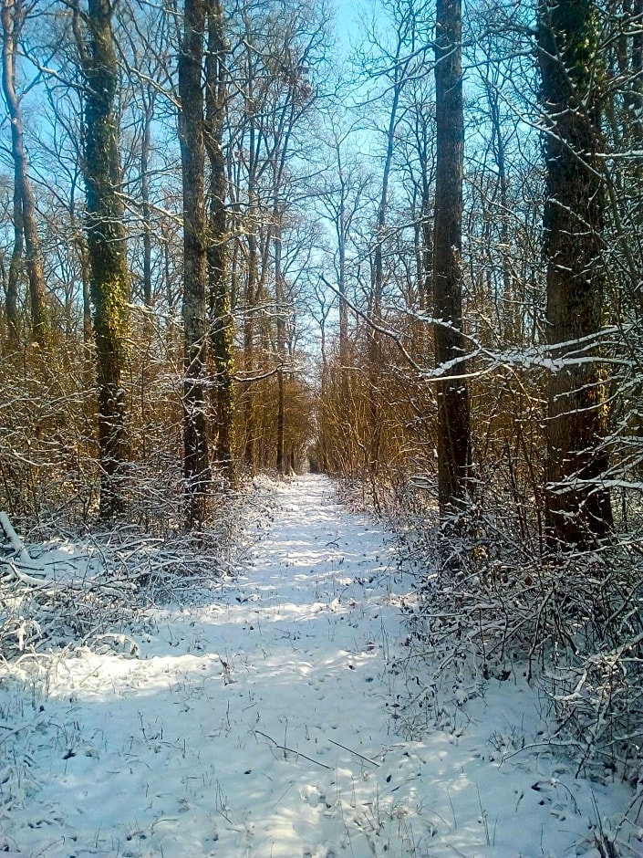 Domaine du clos henri