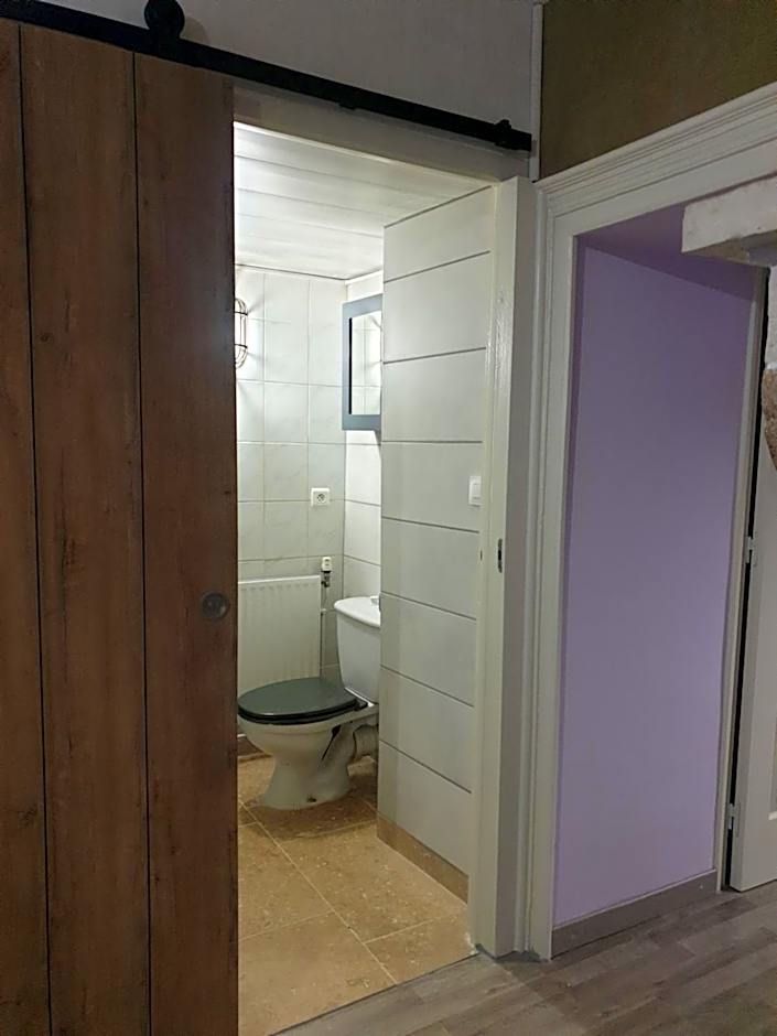 chez Émile côté face maison entière, 3 chambres, 2 salles de bains,jardin et terrasse