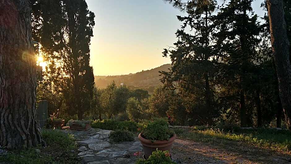 B&B Villa il Poggetto