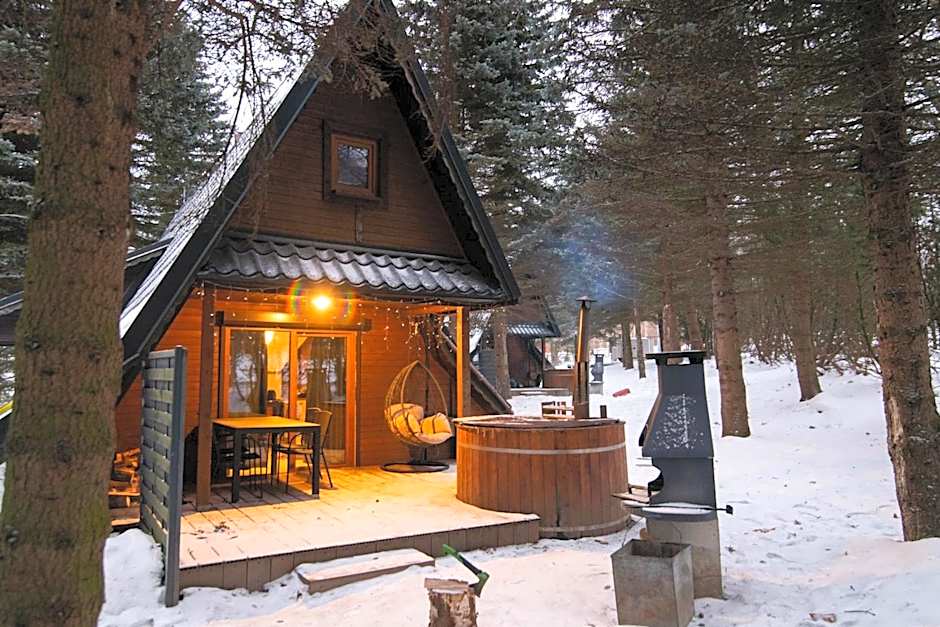 Oliwne Wzgórza