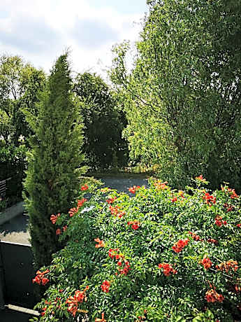 Double Room with Pool View