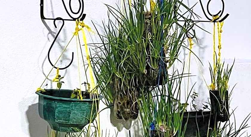 Breeze of Paradise Hotel