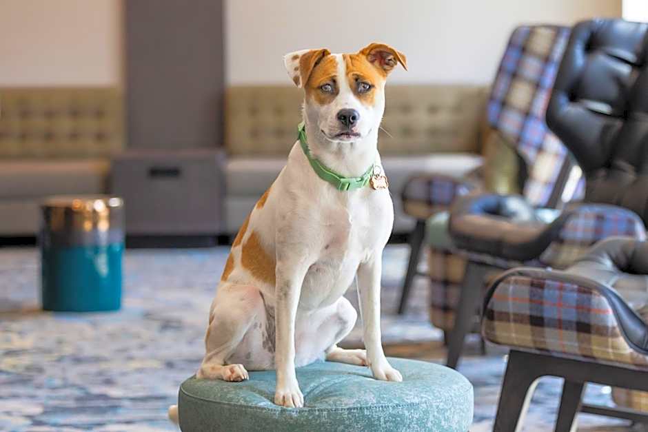 Residence Inn by Marriott Durham McPherson/Duke University Medical Center Area