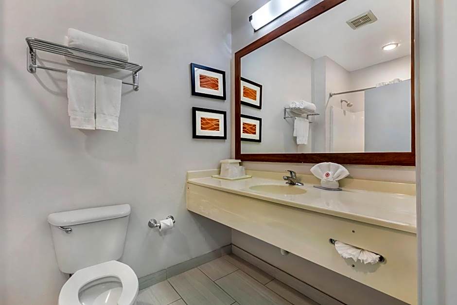 Comfort Inn & Suites Red Oak - Dallas Area