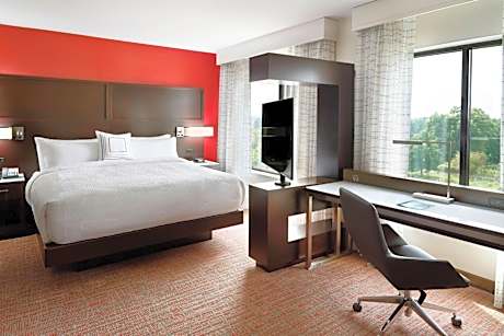 King Studio with Sofa Bed - Hearing Accessible