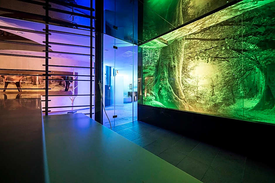 SPA & Relax Hotel Erika