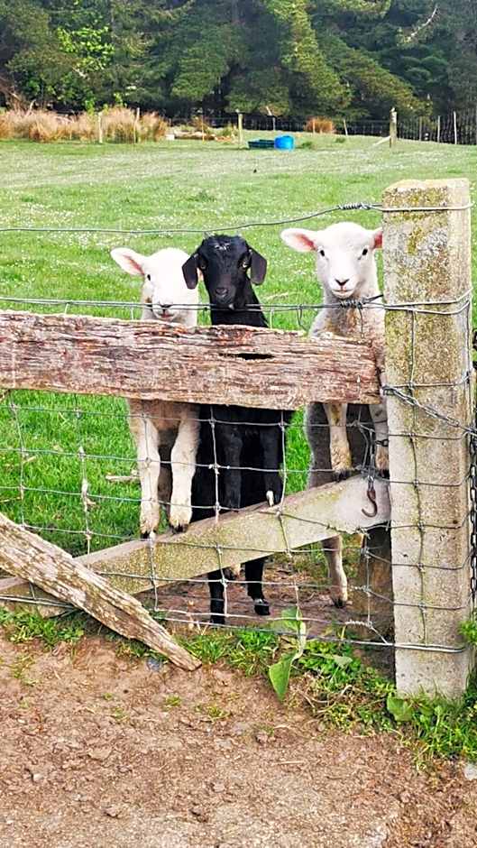 Little Red School House