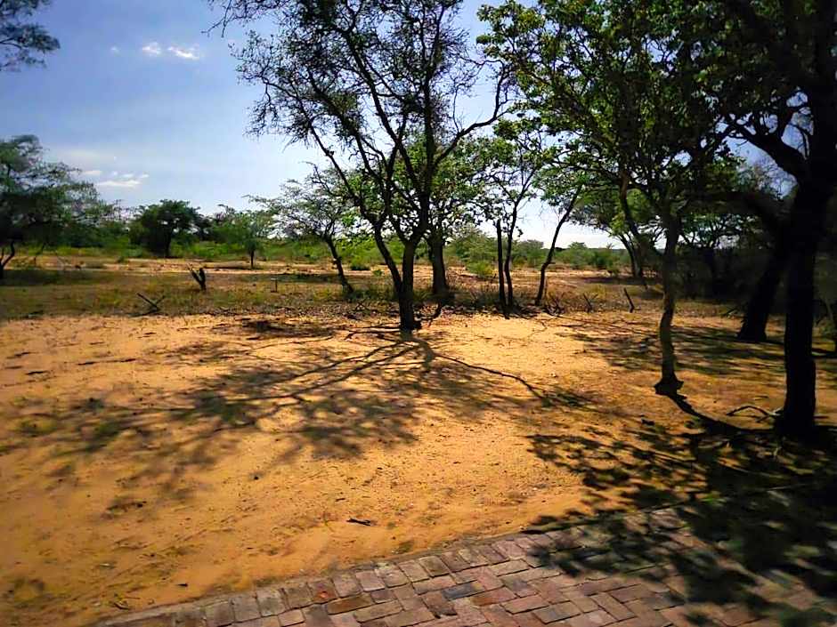 Kigeni Safari Lodge & Spa