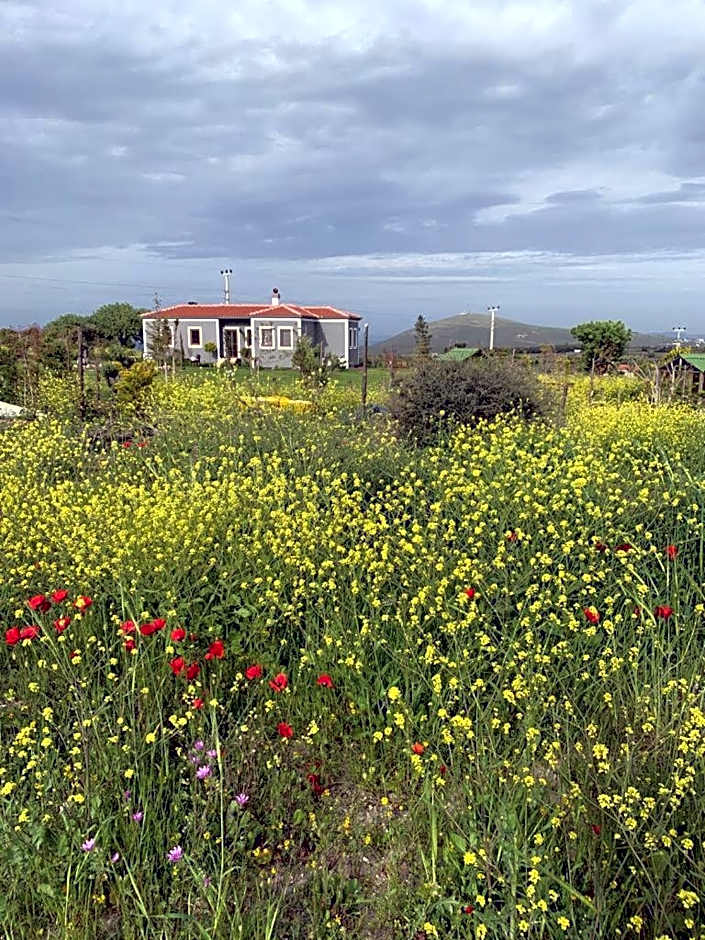 Adayel Bagevi & Butik Otel