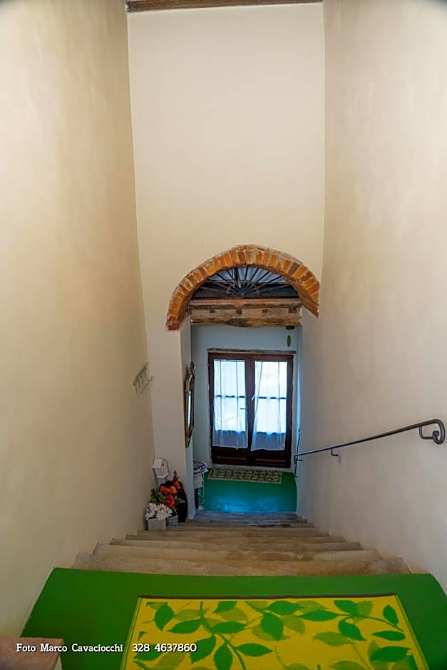 Il Bosso di Toscana