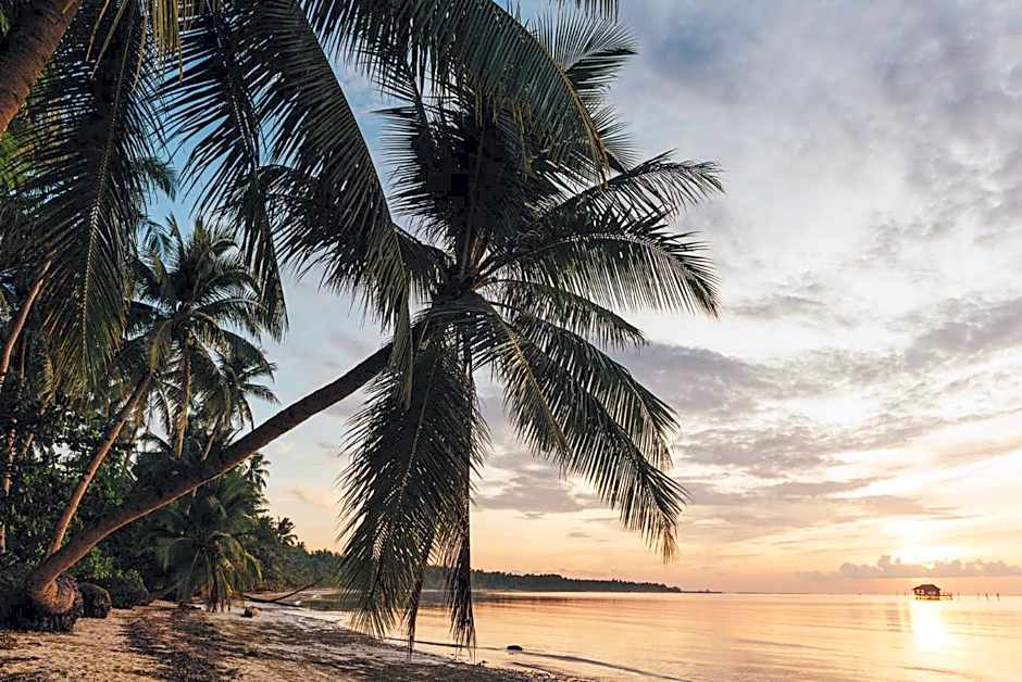 Soultribe Beach Retreat